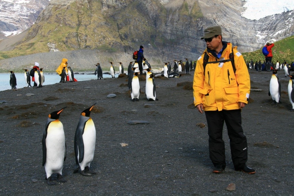 Ли Дунфэй, один из лидеров G&G, приближается к дружелюбным императорским пингвинам в Антарктике